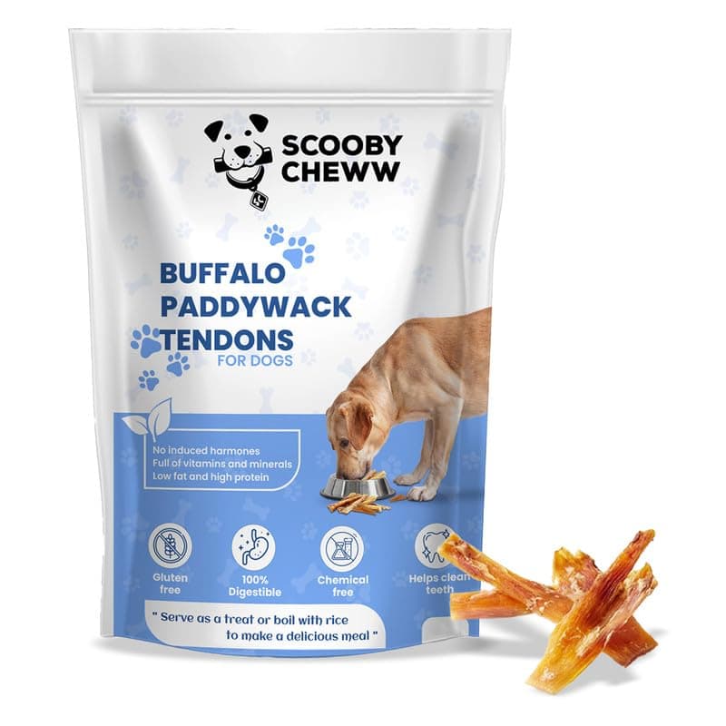 Natural 2 in 1 Dog Treat from Buffalo Neck Tendon Paddywack, 100% Natural Protein, Rawhide Free, Thick Jerky Dog Treats, Long Lasting Chew Stick (300 G (Pack of 1)),All Life Stages