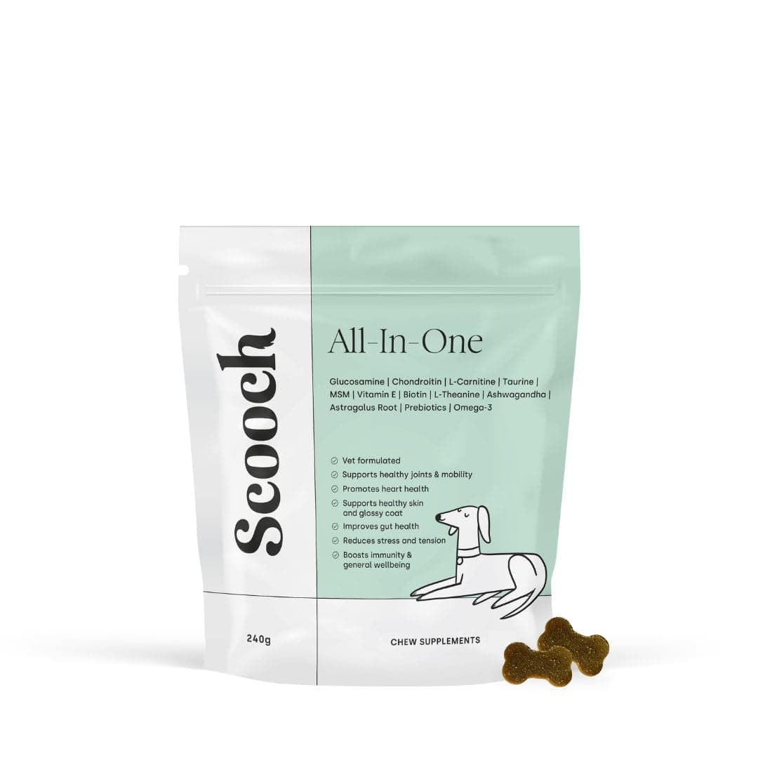 Vet Formulated All-In-One Multi Supplement for Dogs To Prevent The Most Common Conditions | Boosts Gut, Skin & Joints | Premium, Natural, Human Grade | Peanut Butter | Approx 60 Crunchy Chews