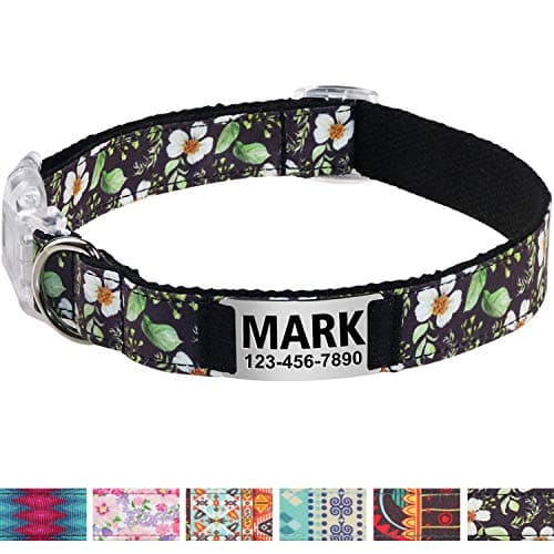 Vcalabashor Personalized Dog Collar/Premium Custom Dog Collar with Staineless Steel Nameplate/Breakaway Buckle/Western Dog Collars/Laser Engraved/Black