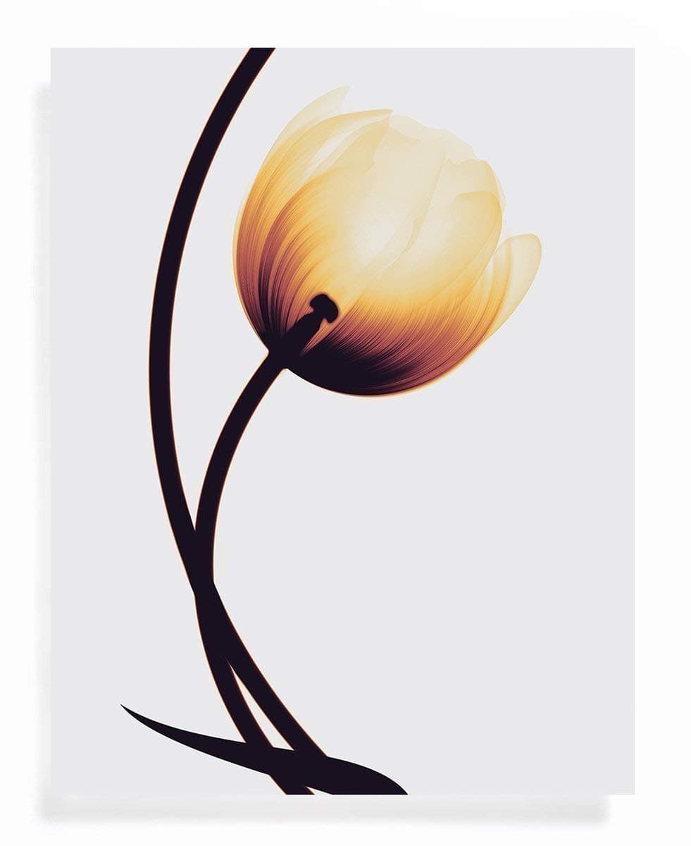 FLOWER Inspired song Art Print - She - Great Anniversary Gift for Her - 11 x 14 Unframed Poster for Elvis Costello Fan or Bedroom swp 151