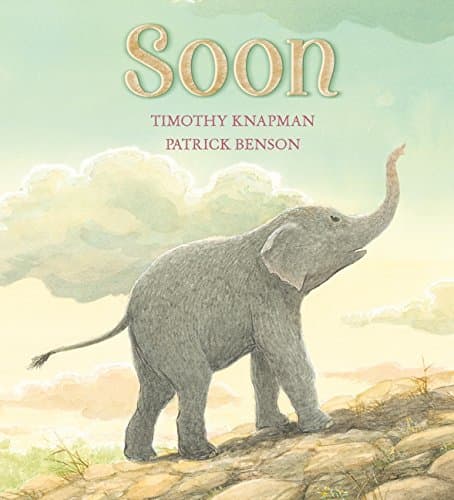 Soon Hardcover – Import