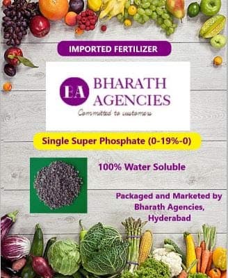 Bharath Agencies - Single Super Phosphate - P(19%) - Plant Food - Plant Nutrient - Plant Fertilizer - Granular - 100% Water Soluble - 1000 Grams