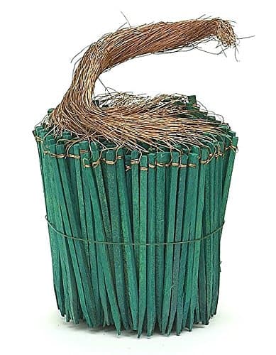 Wired Wood Picks 4" Package of 750 Picks in Green