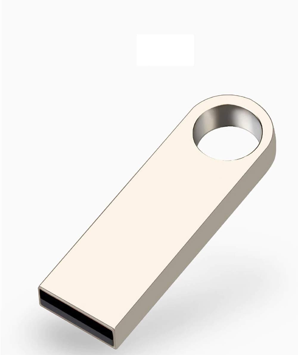 ASTRID 1TB Memory Stick, USB Flash Drive Waterproof USB 2.0 Thumb Drive Pen Drive with Key Ring for PC Laptop Computers Tablets etc (1TB)