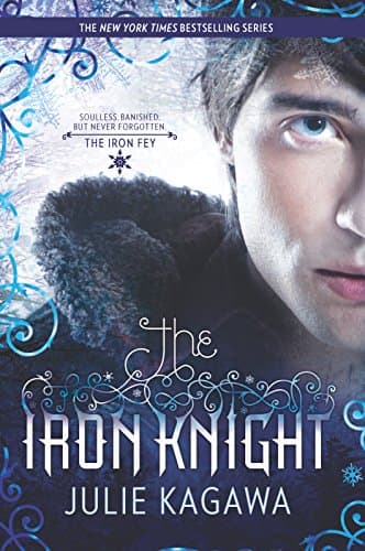 The Iron Knight (Iron Fey) Paperback – October 25, 2011