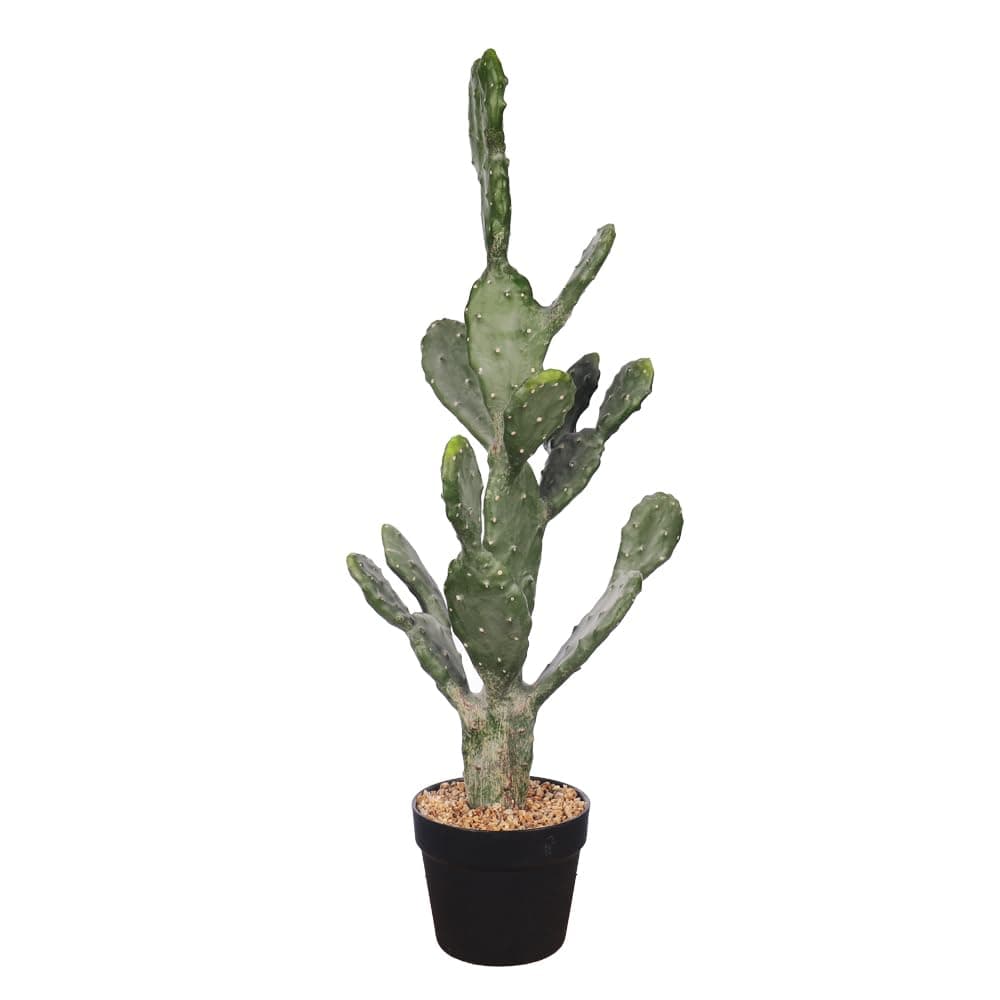YAHOME Artificial Cactus Plant, 2.5ft Tall Faux Cactus with Pot, Durable Nearly Natural Faux Plants Indoor, Eco-Friendly, Maintenance Free & Lush Greenery Outdoor Fake Plants for Patio, Home & Office
