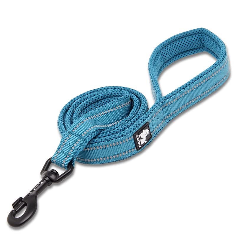 TRUE LOVEReflective Dog Leash Puppy Walking Lead, Padded Pet Chain Rope,Length 110cm Truelove TLL2111(Blue,L)