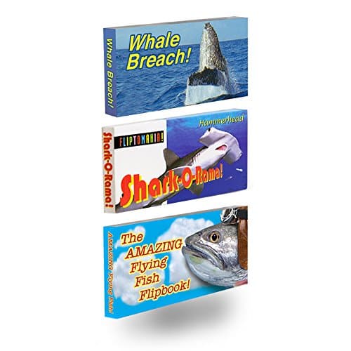 Ocean Life Flipbooks 3-Pack