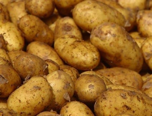 Potato Flakes Dehydrated Dried Survival Food - Giant #10 Can