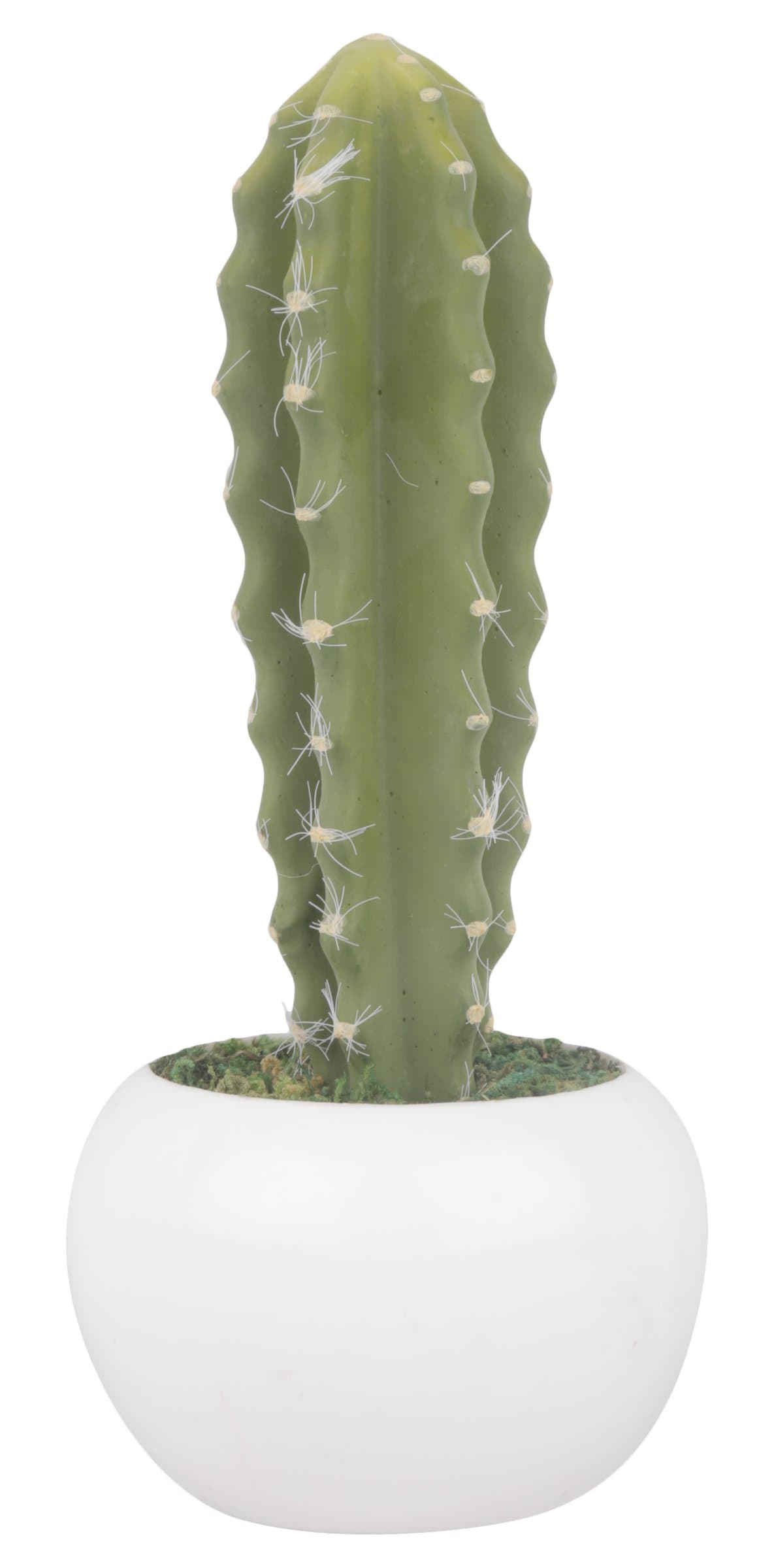 GoodLuck Greenz Premium Quality Artificial Cactus Bonsai with Melamine Pot (5 cm x 8 cm x 22 cm, Green, GNZ0039)