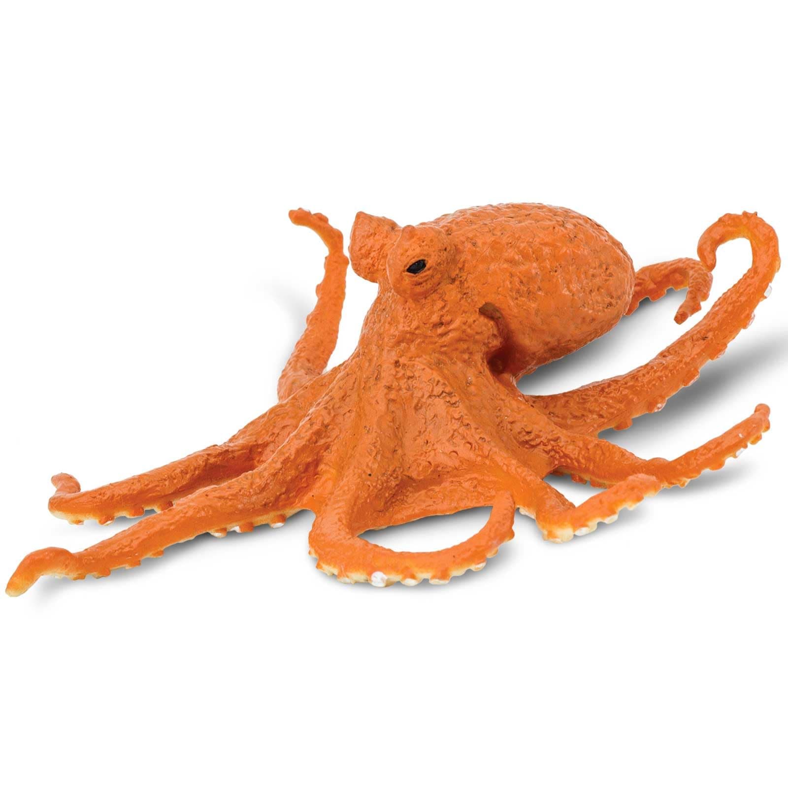 サファリ レプリカ タコ