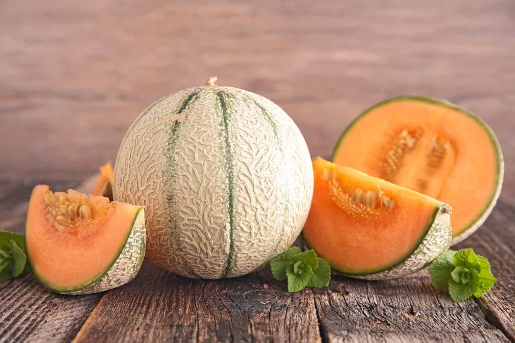 Muskmelon, Edisto 47 Sweet, Heirloom, 25 Seeds, Sweet and Delicious muskmellon