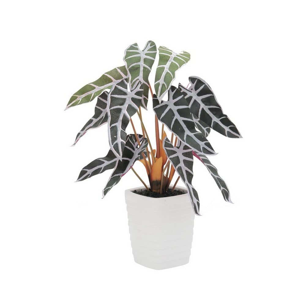 Europalms Europlams Caladium Plant, Red-Green, 35 cm