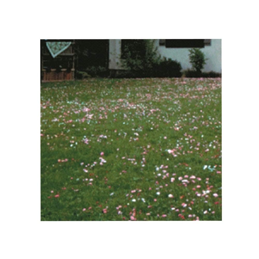 COTTAGE GARDEN ECO RED AND WHITE CLOVER LAWN GRASS SEED SELF FEEDING (400g)