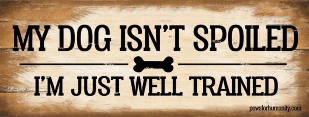 My Dog Isn’t Spoiled, I’m Just Well Trained, 6 x 16 Inch Metal Sign, Funny Dog Signs for Dog Lover, Walker, Sitter, Veterinarian, Groomer, Trainer, Doggie Daycare, Decor and Gifts, RK1004HP 6X16