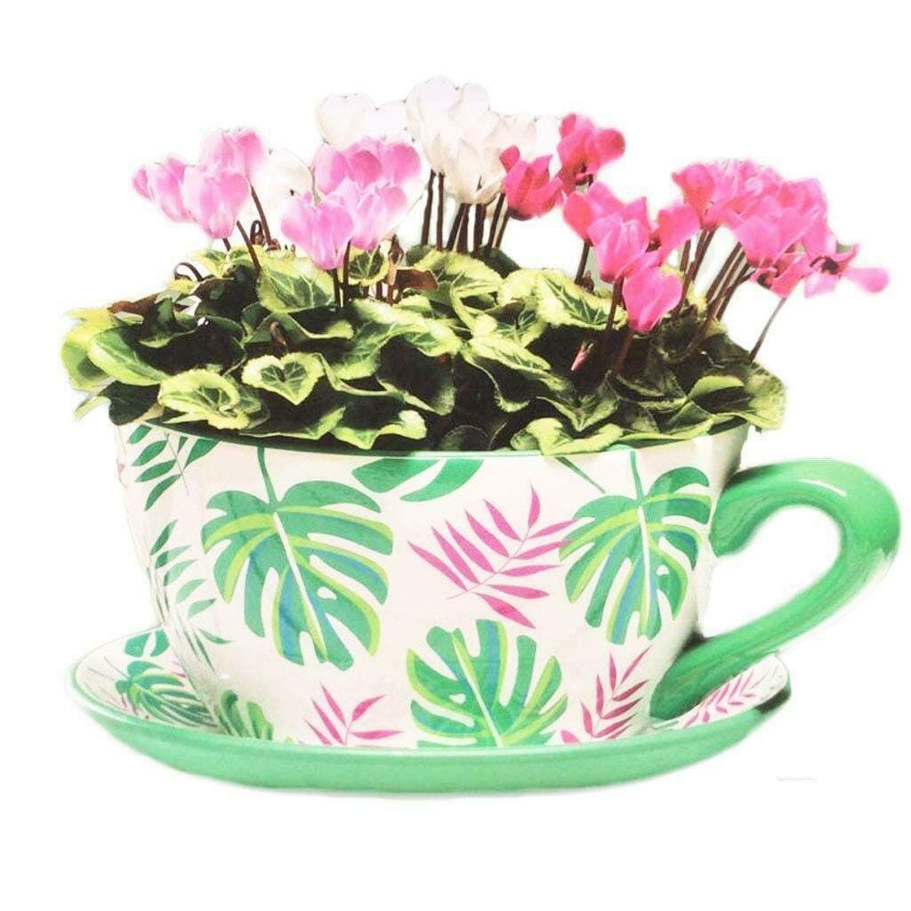 Giant Ceramic Vintage Tea Cup Saucer Planter Plant Pot Holder Garden Home Flower (Tropical Green Leaves)