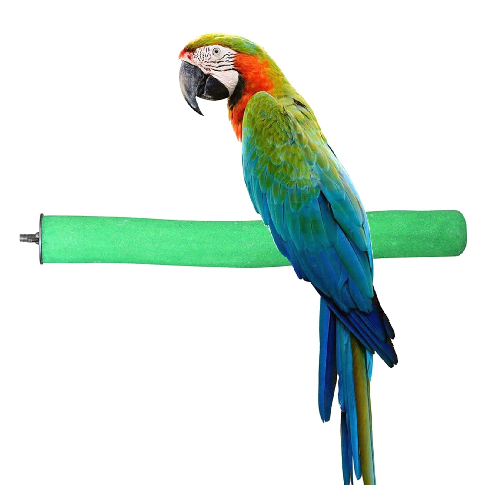 KINTOR Bird Perch Rough-surfaced Nature Wood Stand Toy Branch For Parrots By Colours Vary