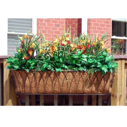 Nelumbo Rectangular Window Box Size: 48" W