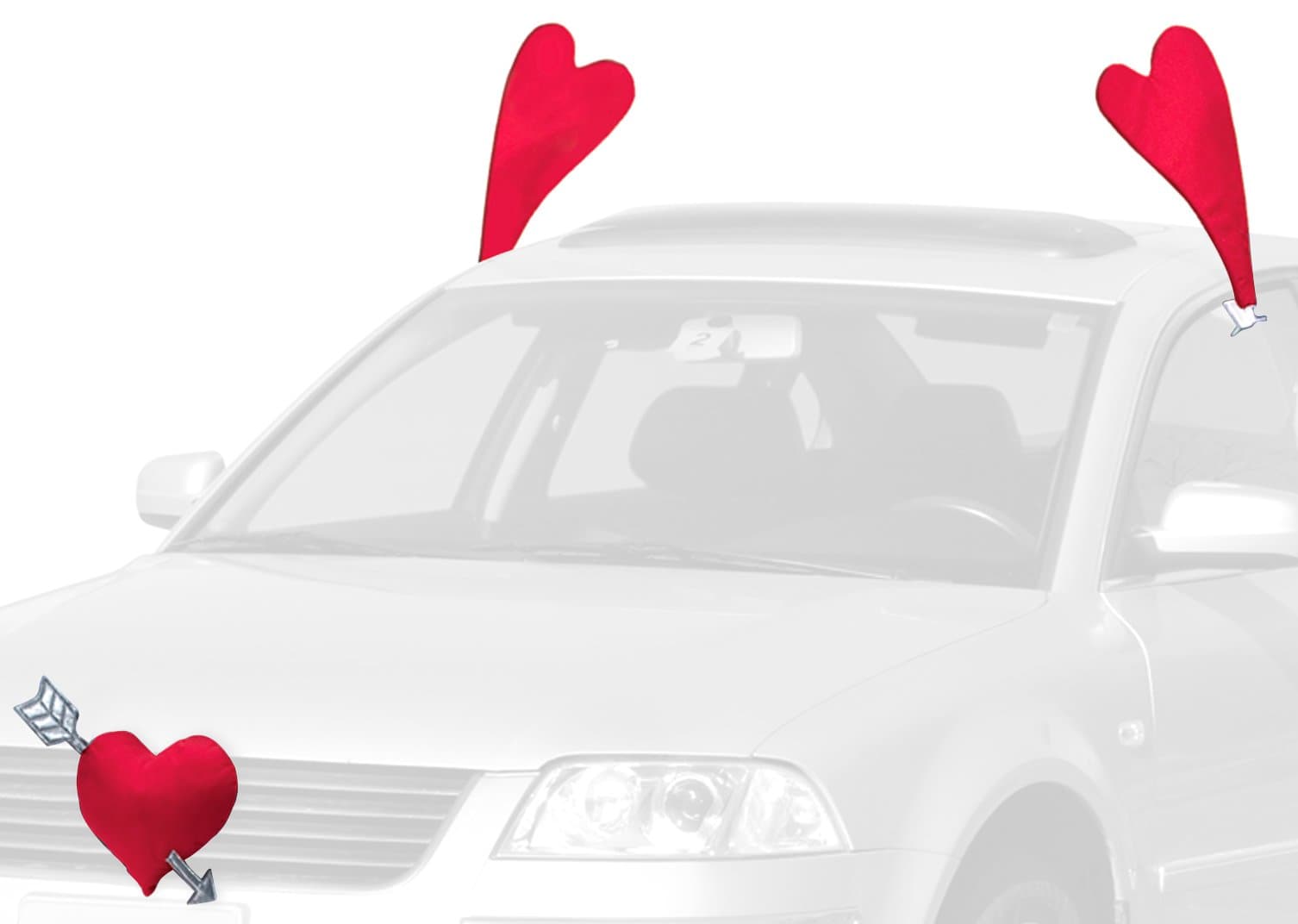 Mystic Industries Valentine's Day Vehicle Costume