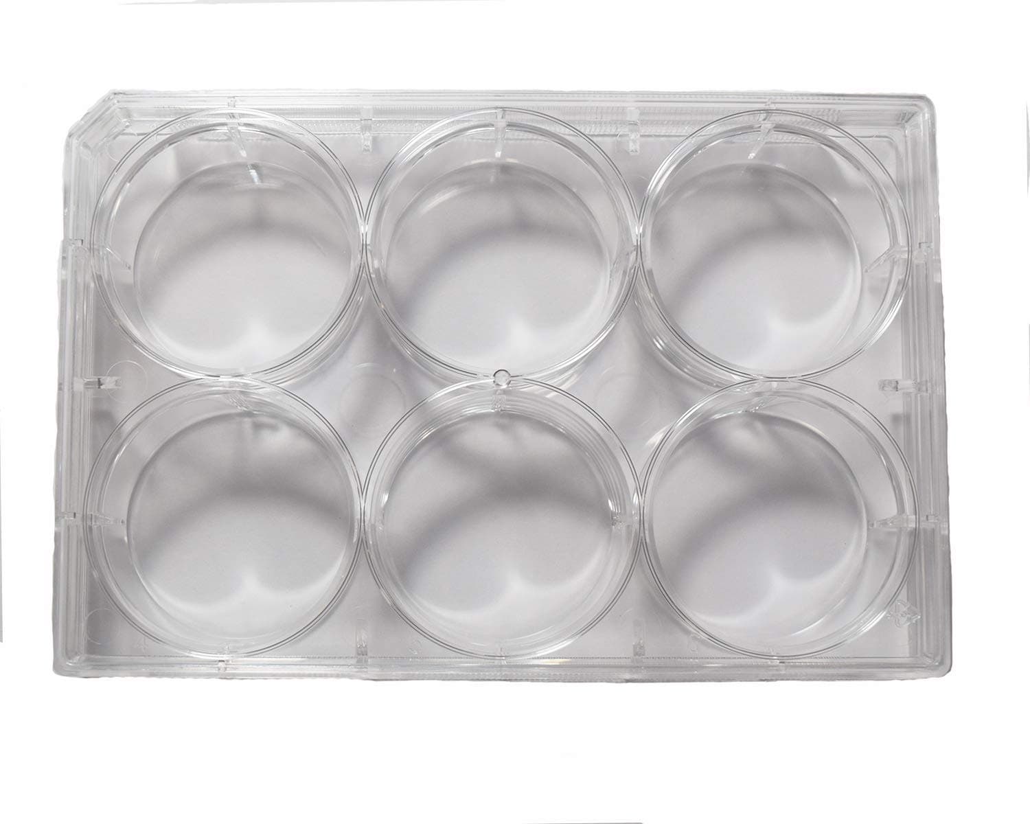 Advangene 6 Well Non-Treated Sterile Flat Tissue Culture Plate with lid (50/Case)