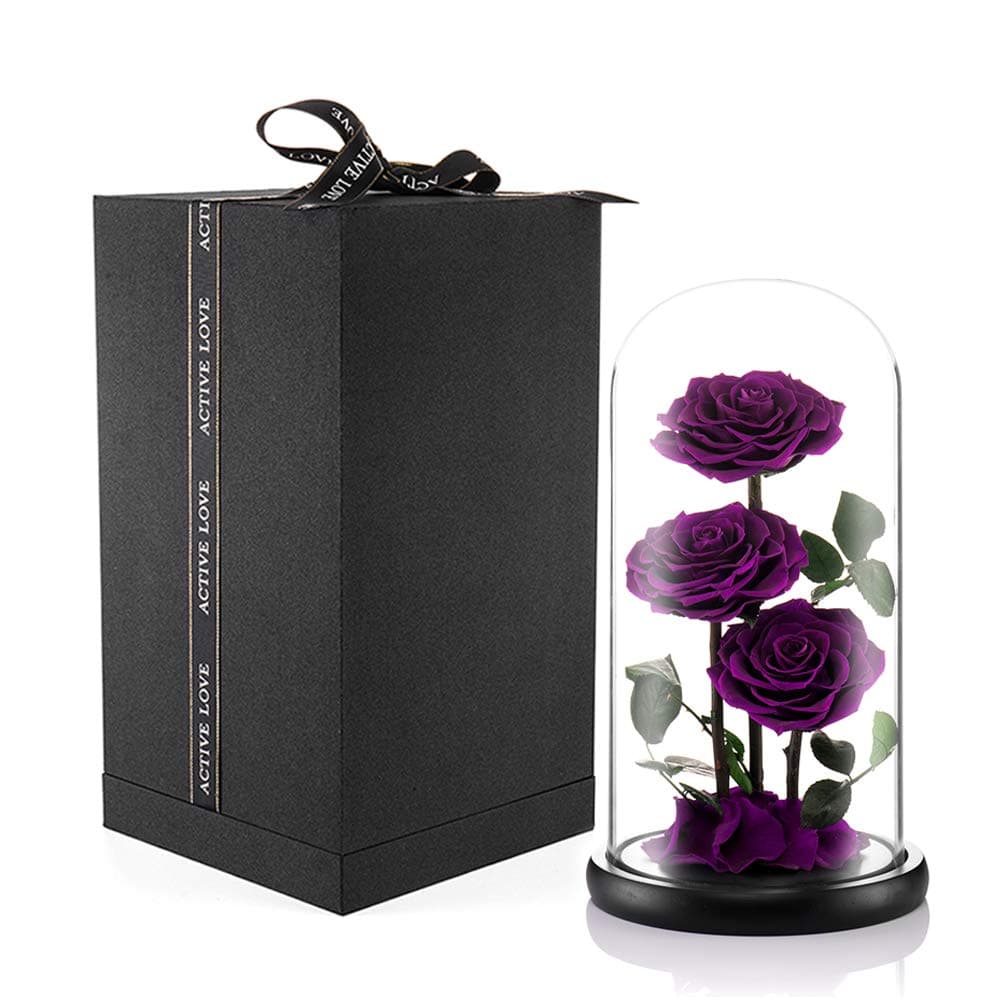 Eterfield Preserved Real Rose Handmade Eternal Rose in Glass Doom Gift for Her Valentine's Day Mother's Day Anniversary Birthday (Large, 3 Purple Roses)