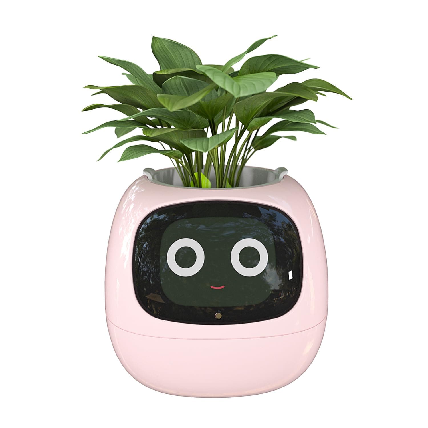 Masdio Smart Flowerpots, with Artificial Intelligence, Time Temperature Display, and Numerous Expressive Animations Based On The Environment, for Indoor Decoration, Gifts(Pink)