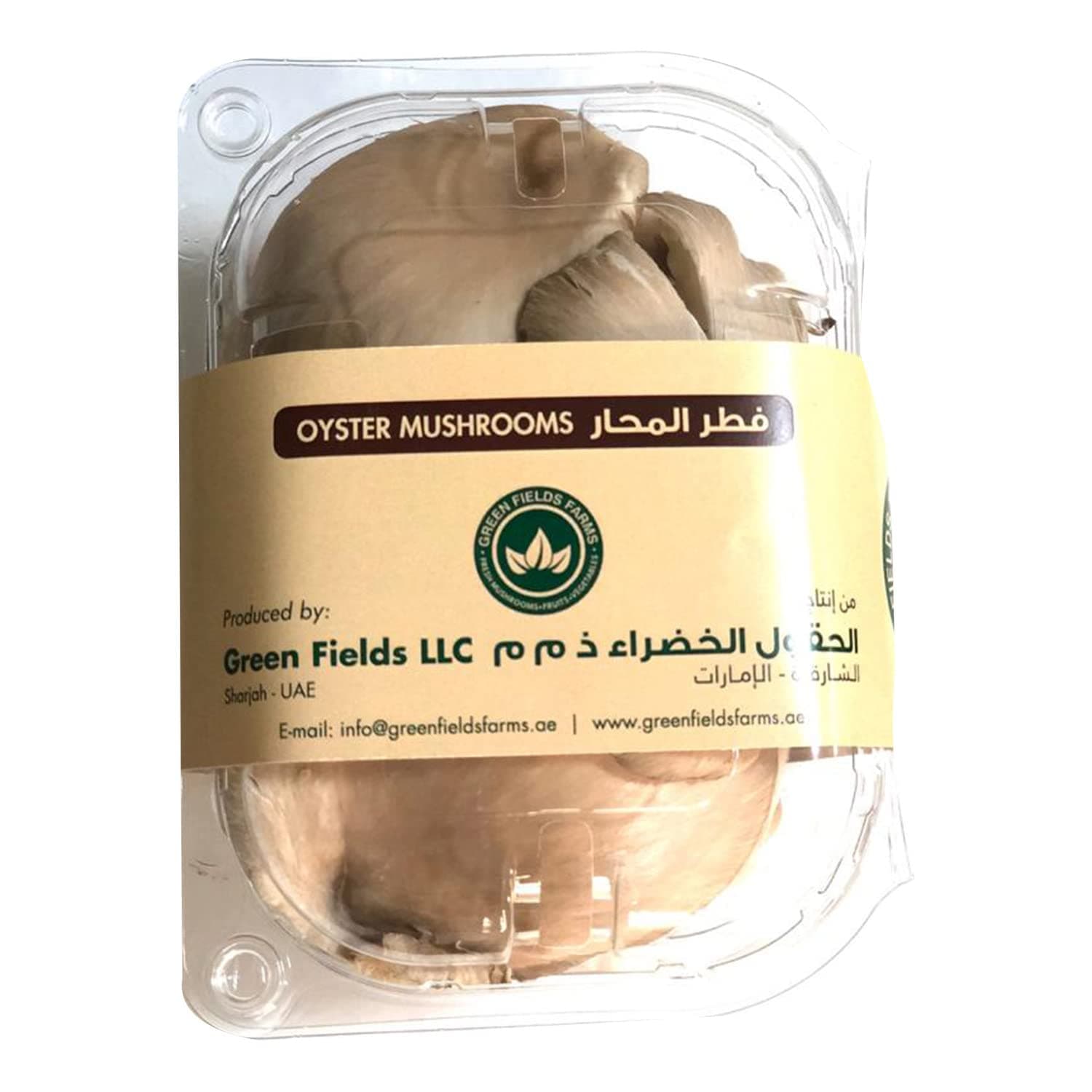 Lulu Mushroom Oyster UAE 100g