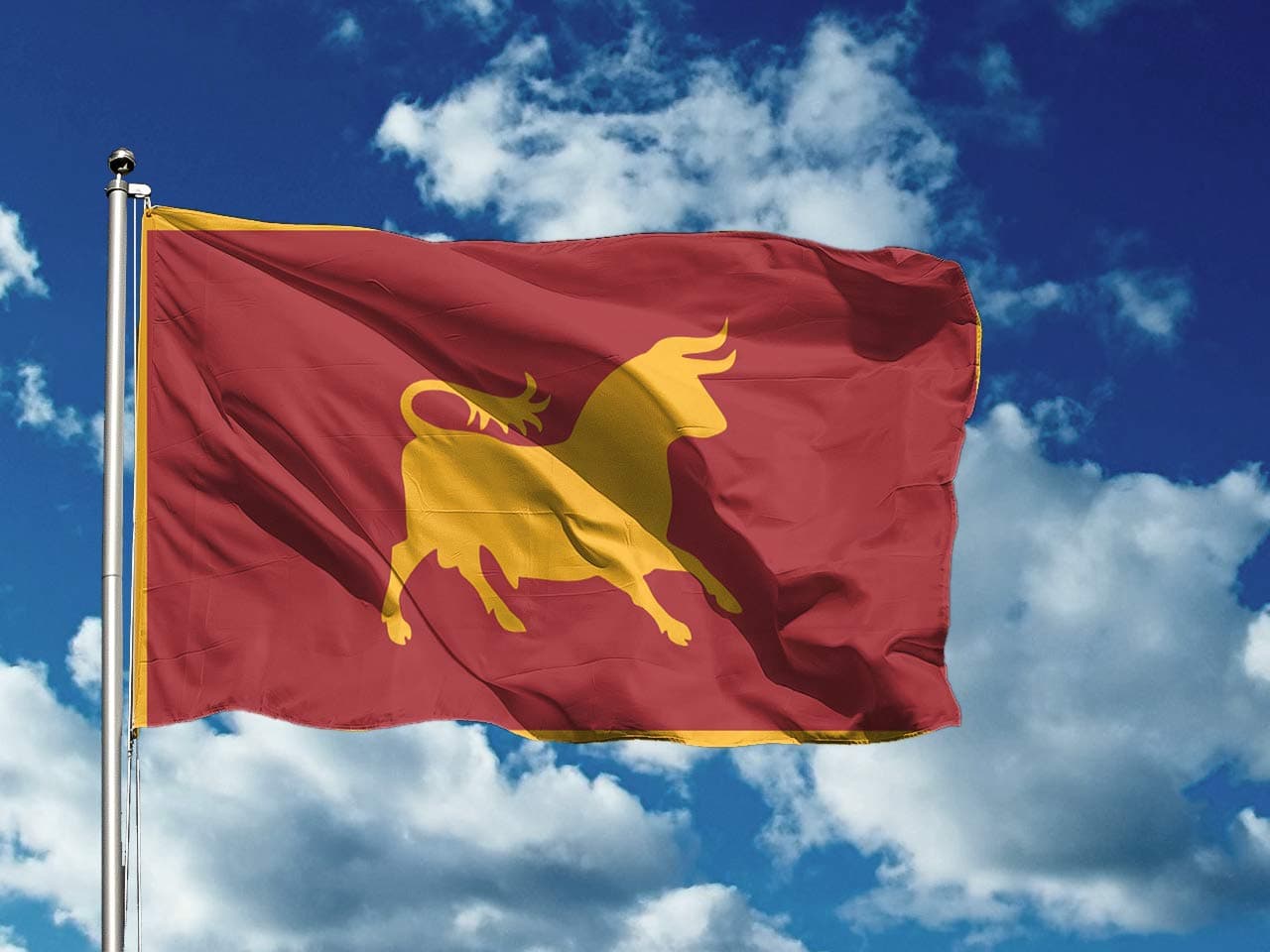 New California Republic Caesars Legion | 3 x 5 ft / 90 x 150 cm | Long Lasting Flag