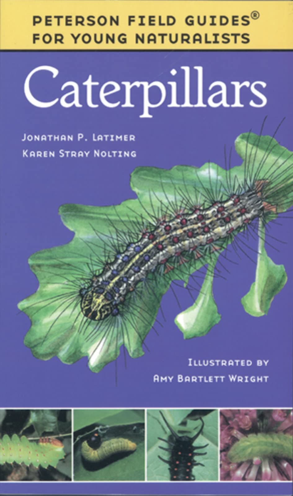 Caterpillars: A Beginner's Bug Guide with Life-Like Illustrations Based on the Peterson System