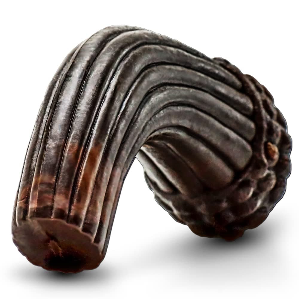 CelesdyDog chew Toys (Small/Medium)