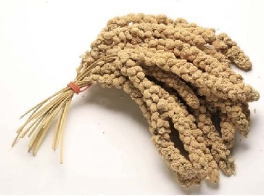 MILLET SPRAYS 1Kg PREMIUM AVIARY BIRD FOOD