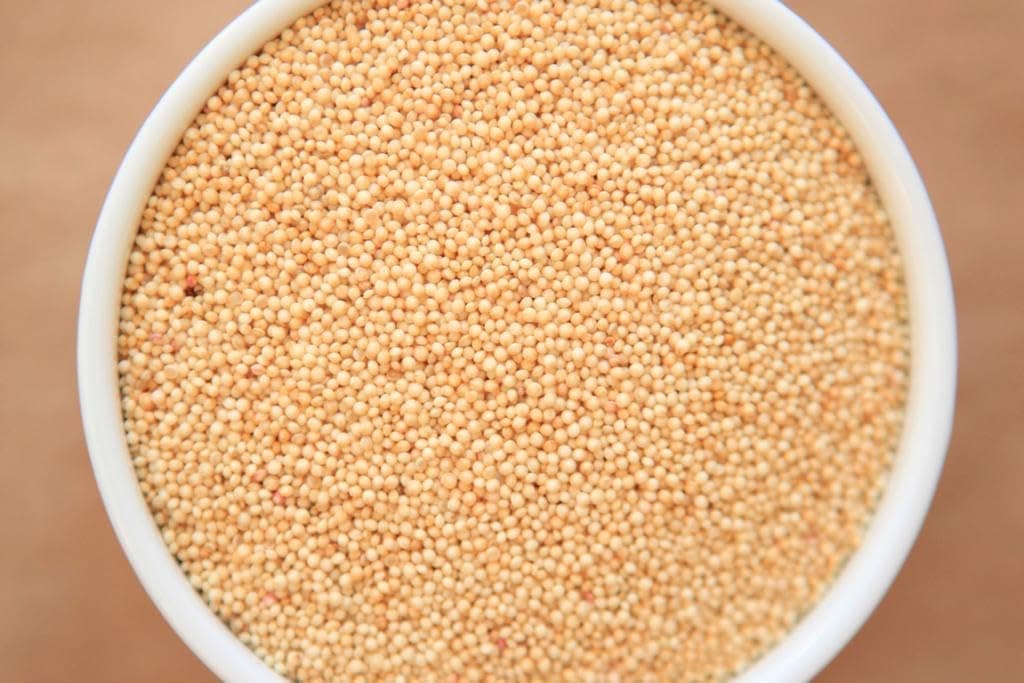 NOHUNT 100% Natural A+ Grade Poppy Seed | Healthy & Tasty Khus Khus Posto Dana | Posto Dana for Eating (200 GM)