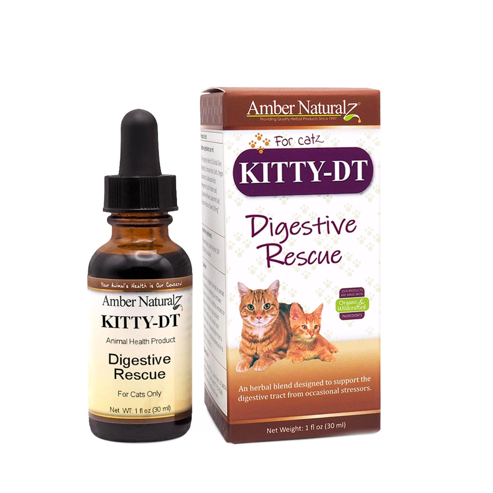 Amber NaturalZ Kitty-DT Digestive Rescue Herbal Supplement for Cats | Supports Normal Digestive Function and Occasional Gastric Upsets | Natural Aid for Gastrointestinal Health 1 Fluid Ounce