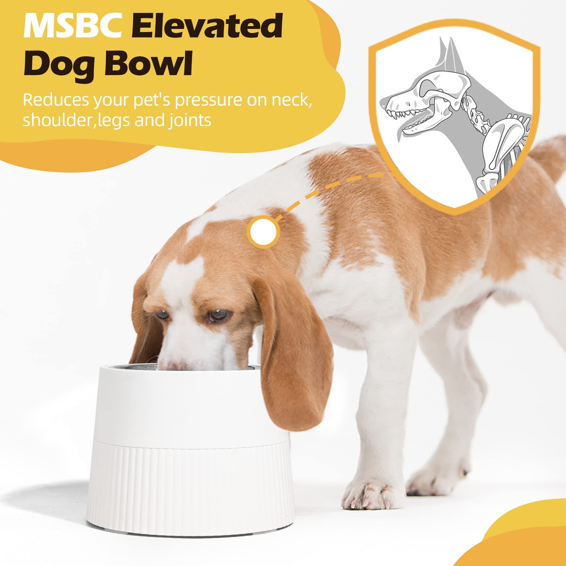 Elevated Dog Bowl, 15oz Small Raised Dog Feeder with Removable Stainless Steel Food and Water Bowl, Non-Skid & Non-Spill Dog Dish for Small Dogs and Cats, Raised Cat Bowl, Dishwasher Safe, White