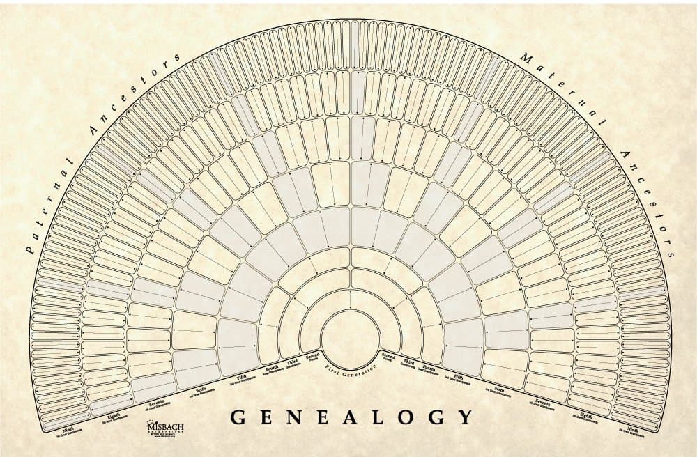 Genealogy Fan Wall Chart | Large Blank Fillable Pedigree Form for Family History and Ancestry