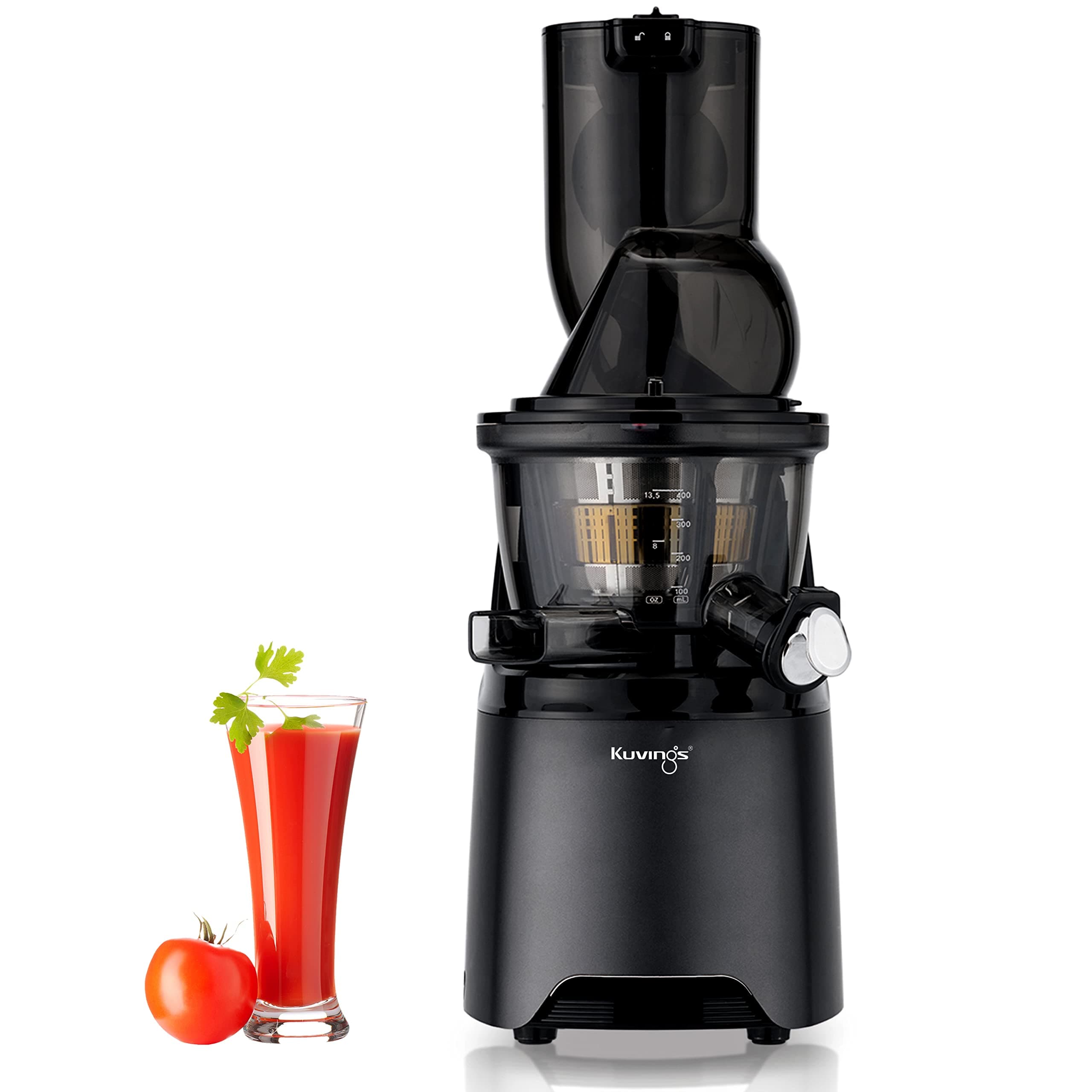 EVO810 Black Professional Cold Press Whole Slow Juicer, World's Only Juicer with Patented Rubber & Silicon-Free Technology, All-in-1 Fruit & Vegetable Juicer (EVO810 Black) (NS-2155)