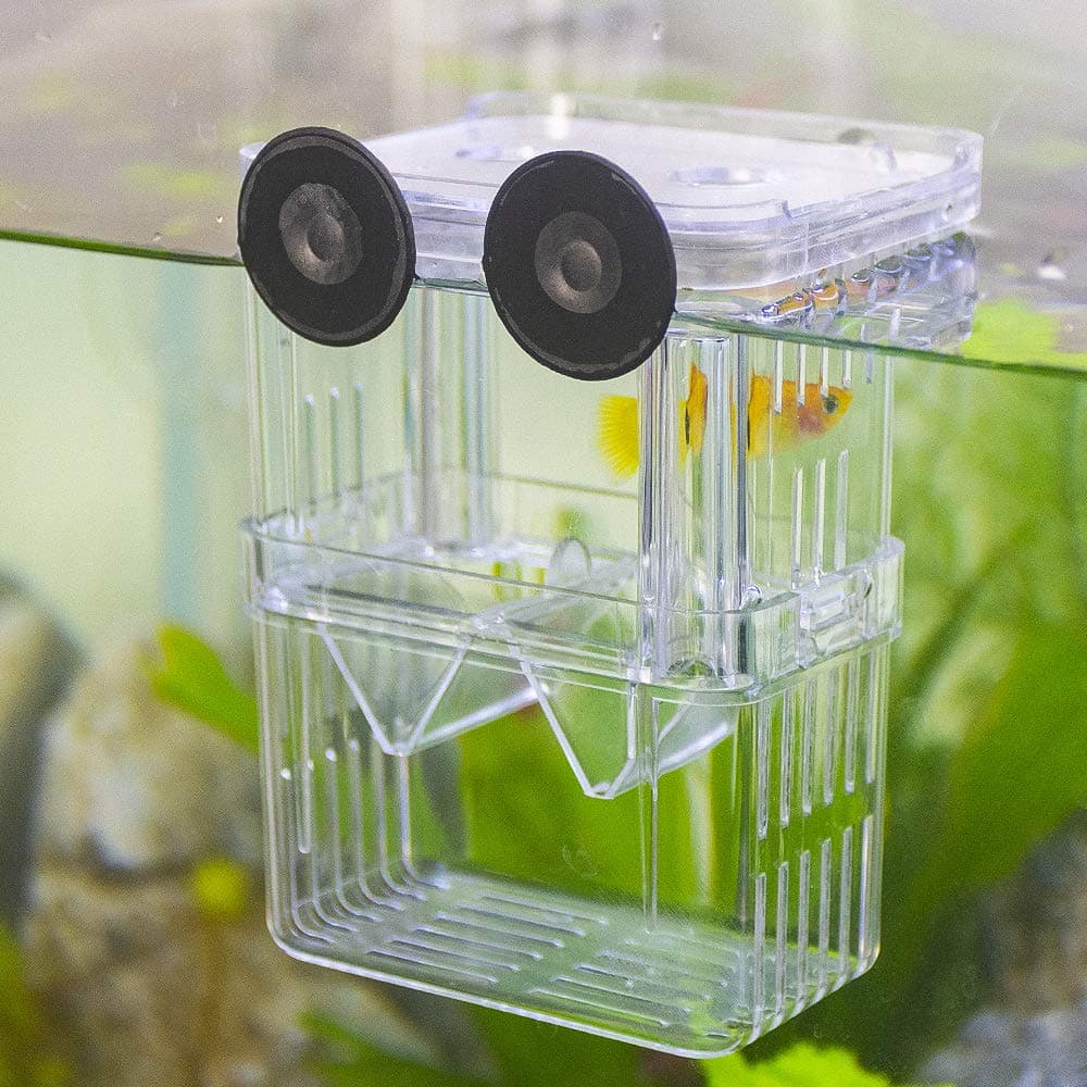 Fish Breeding Box