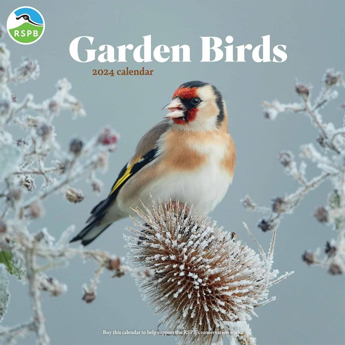 RSPB Garden Birds Wall Calendar 2024