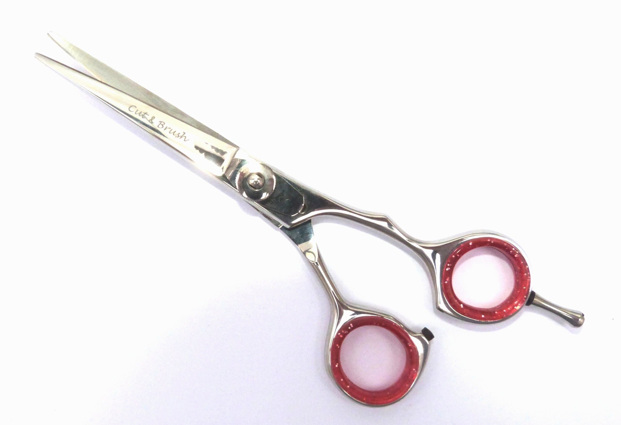 Hairdressing Scissors 5.5" Hair Salon Scissors