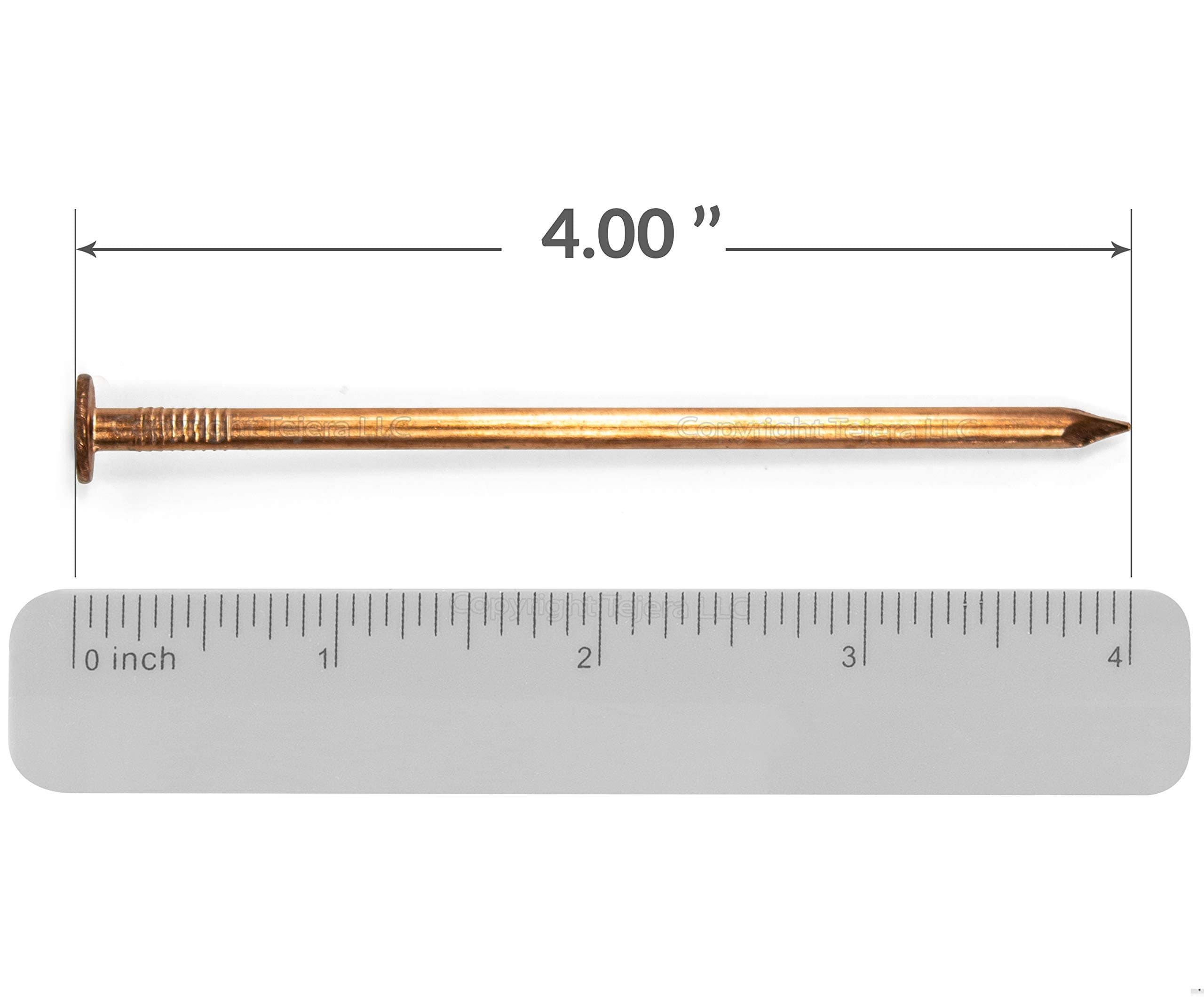 4 inch Copper Nails for Tree Treatment - Fungicides for Plants or Trees Stumps and Roots Killer - Pack of 10 Solid Copper Nail Spikes with Free Drill bit