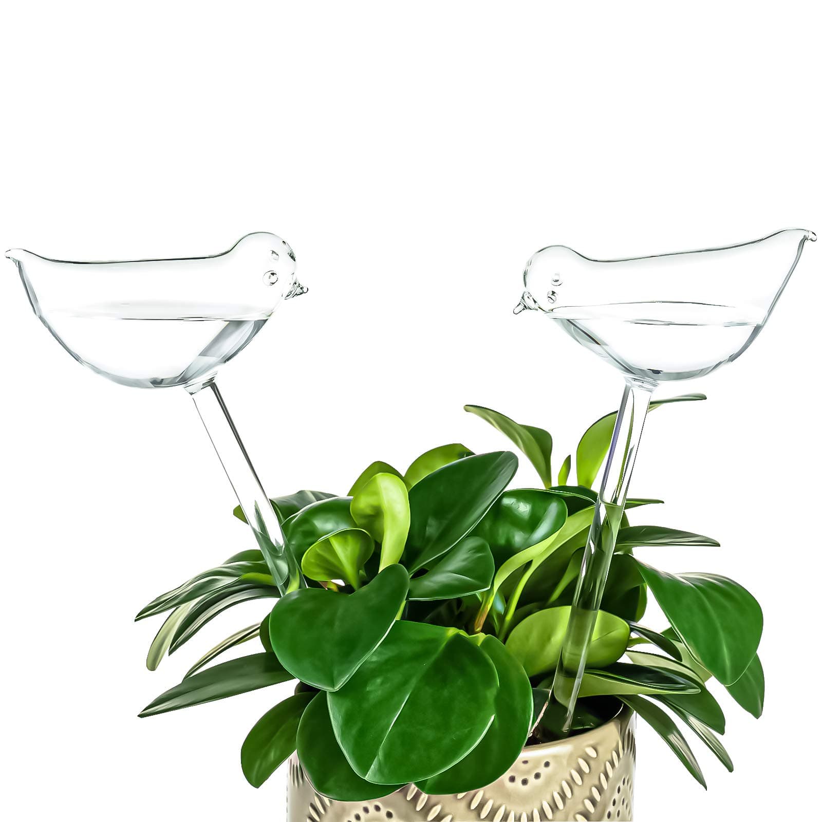 Kingbuy Self Watering Globes Plant Waterer Device Bird Shape Hand Blown Clear Glass Bulb for Indoor Outdoor Plants, 2 Pack