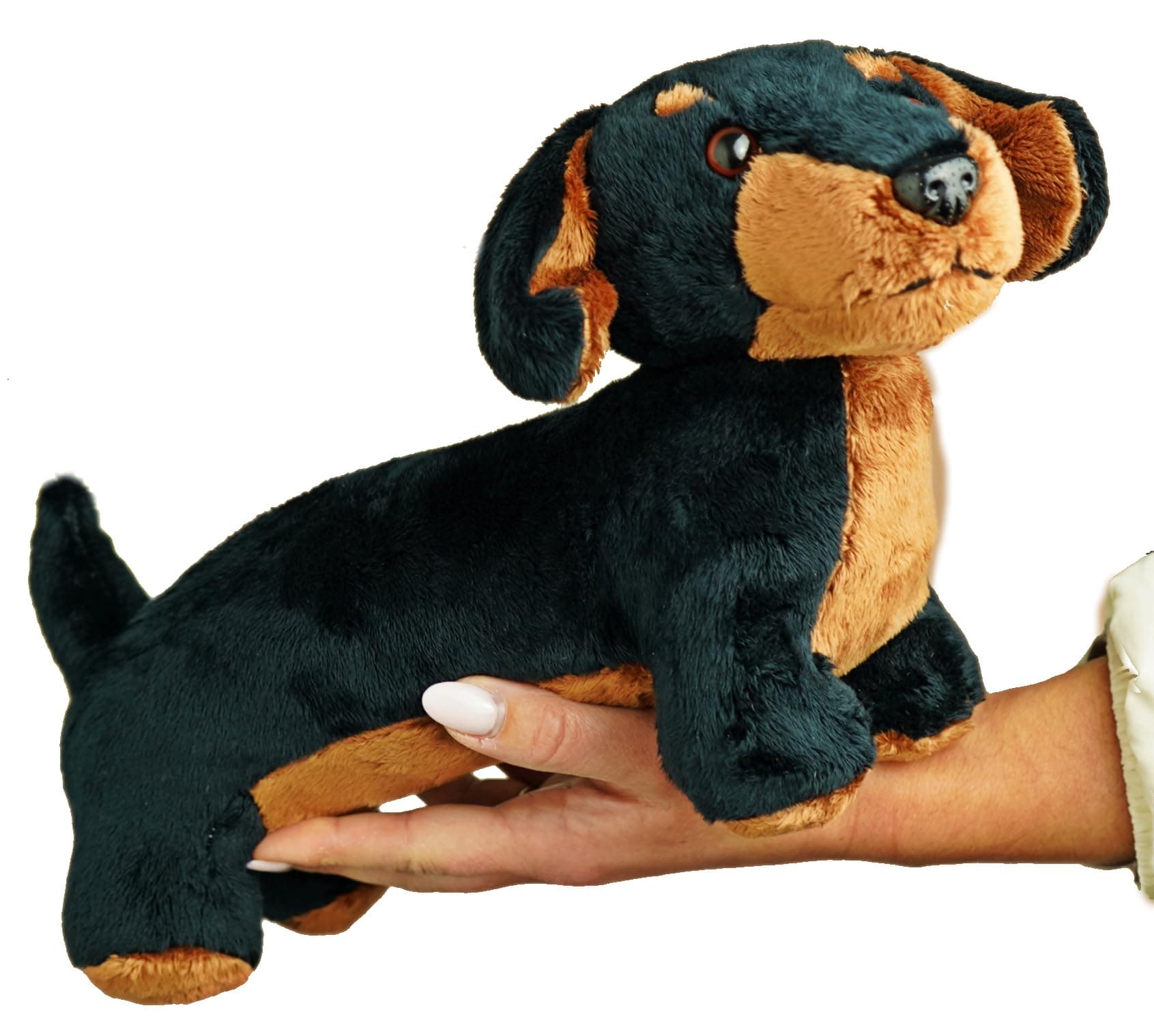 PMS 30 cm Sausage Dog Teddy Dachshunds Dachshund Plush Toy