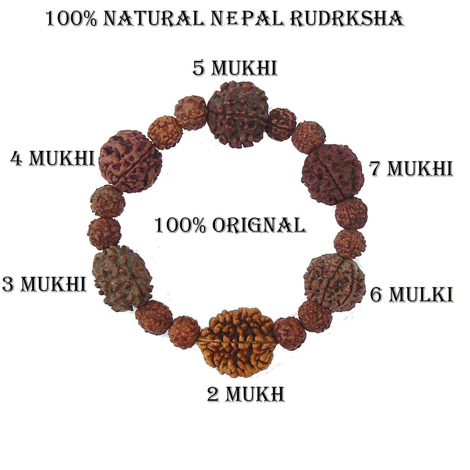 SHI SHANKAR ACCESSORIES Multicolour Wooden Rudraksha 2 3 4 5 6 7 Mukhi Beads Mala Wrist Band Bracelet for Women and Men