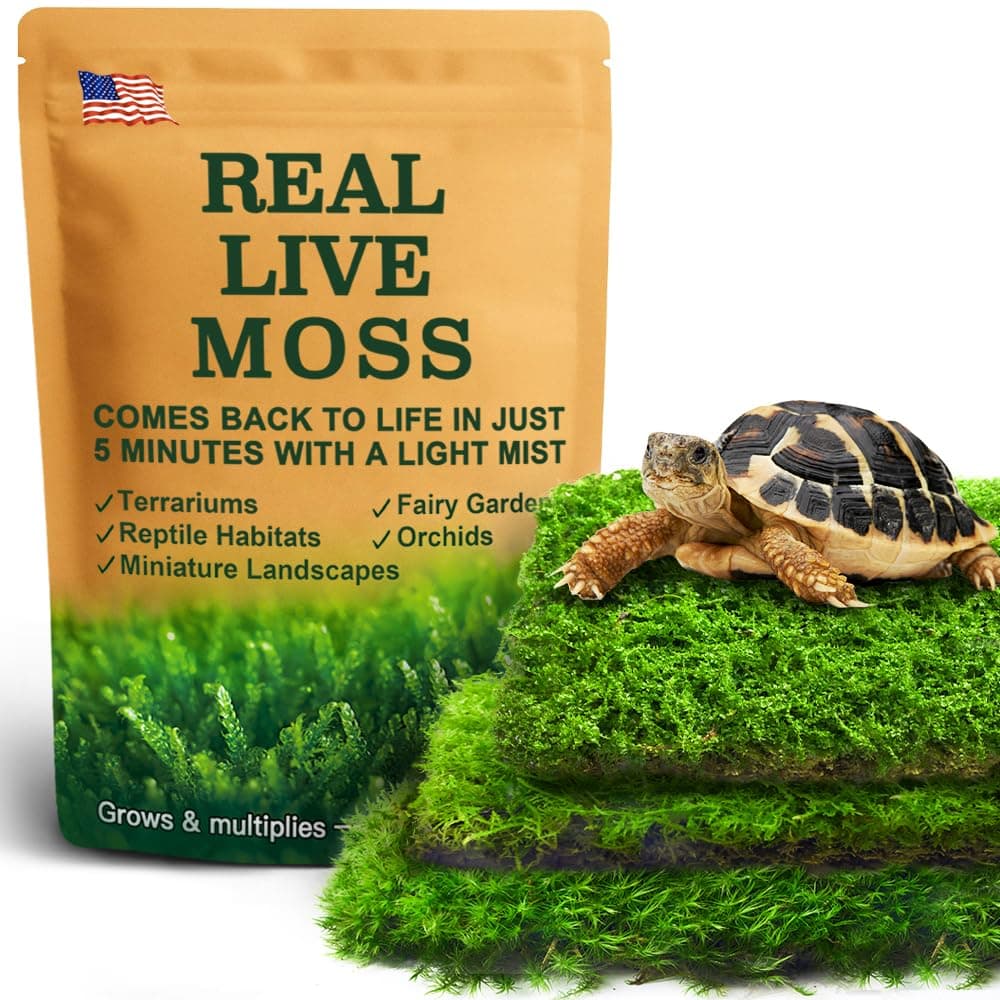 Live Moss Variety Pack for Reptiles– 3-Pack Mixed Real Terrarium Mosses (Each 3.5" x 7") – Live Sheet/Sphagnum Moss for Snake Gecko Turtle Frog Habitats, DIY Plant Décor – Fresh Reptiles Substrate