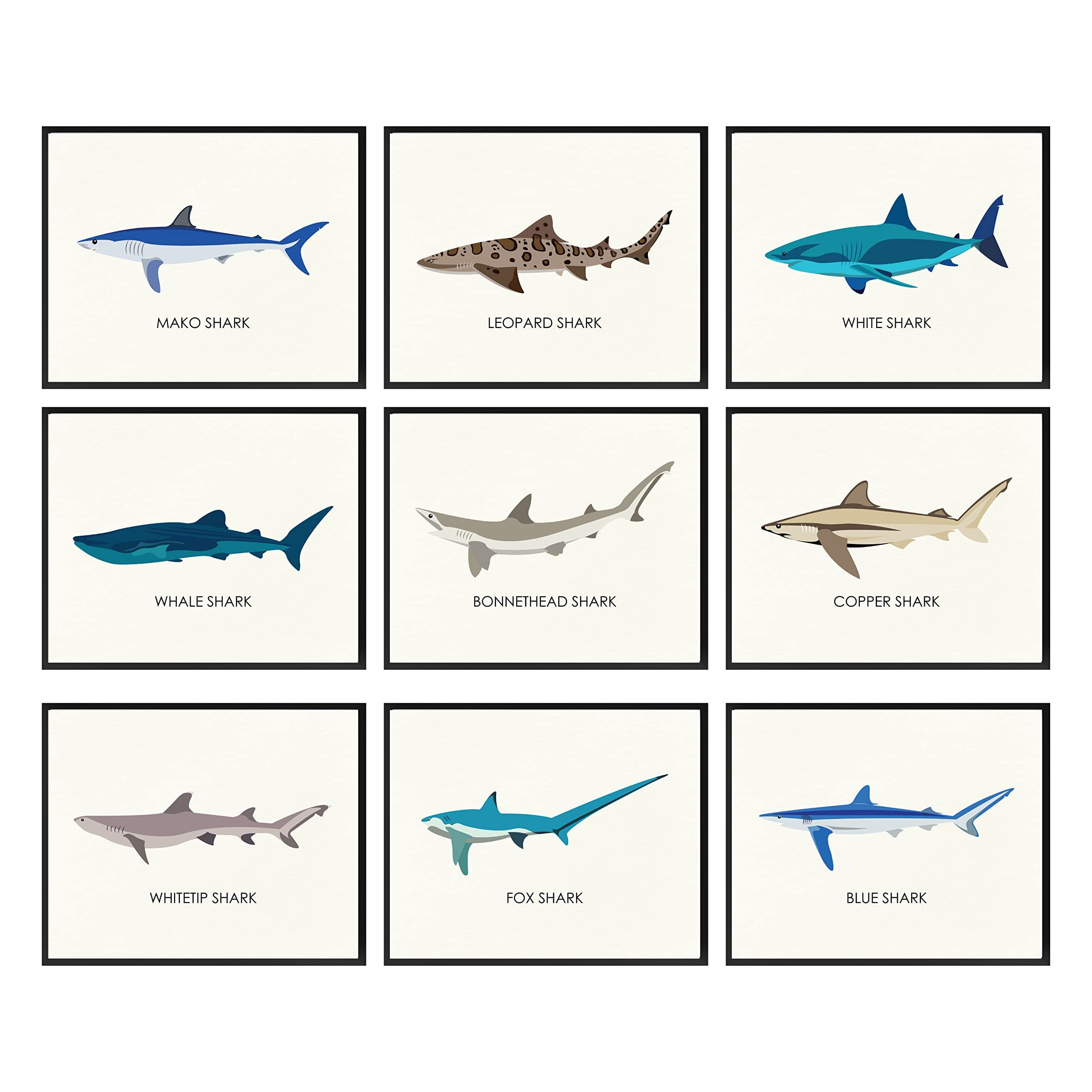 97 Decor Whale Shark Poster - Shark Decor for Boys Room, Sea Life Pictures Wall Art, Vintage Sharks Knowledge Prints, Sea Creature Nursery Artwork for Kids Bedroom Decoration (8x10 UNFRAMED)