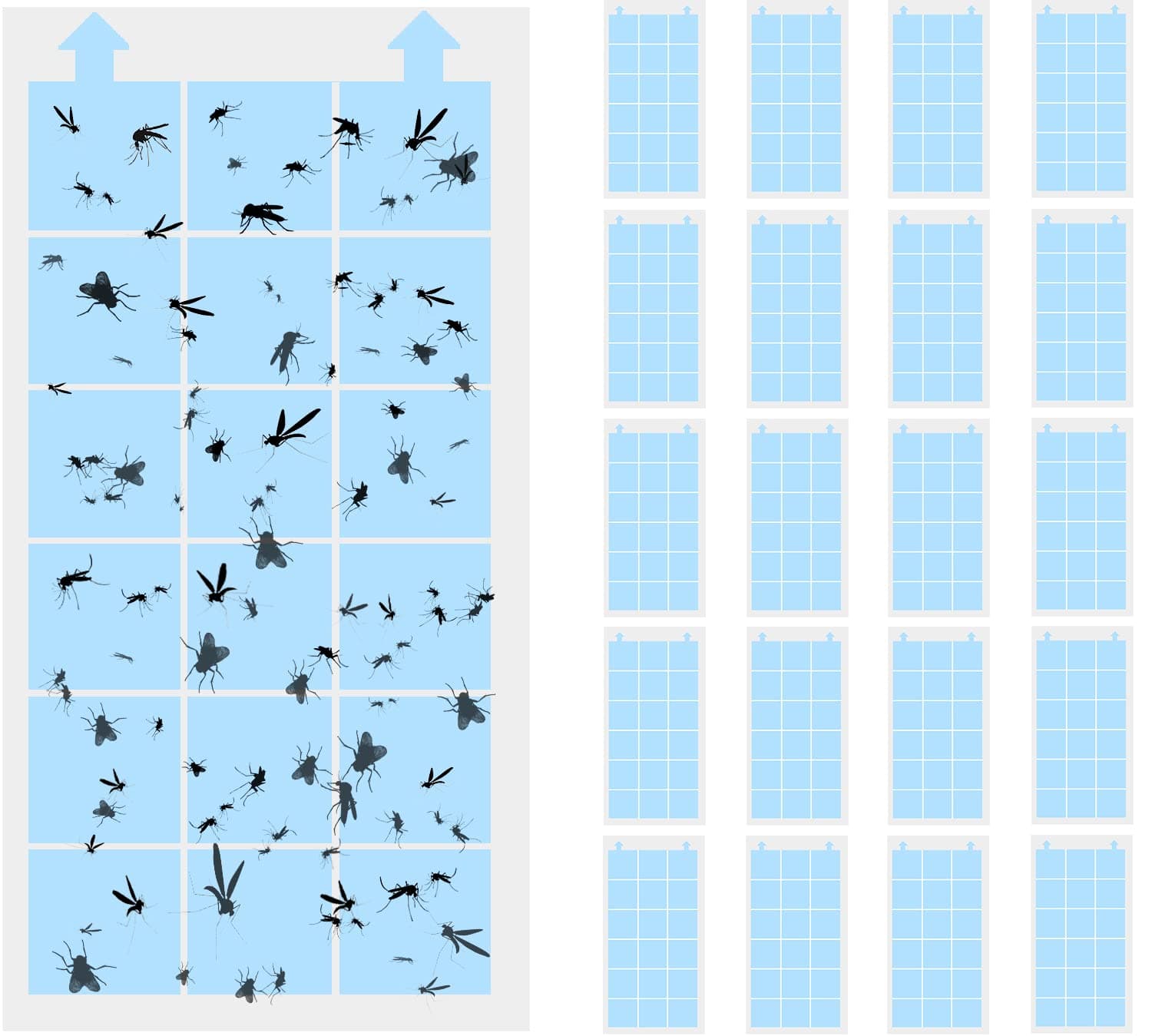 20 Pack DT3009 Refill Glue Boards for DynaTrap DT3009 3019 3039 and More | Indoor Replacement Cards for Model 230093