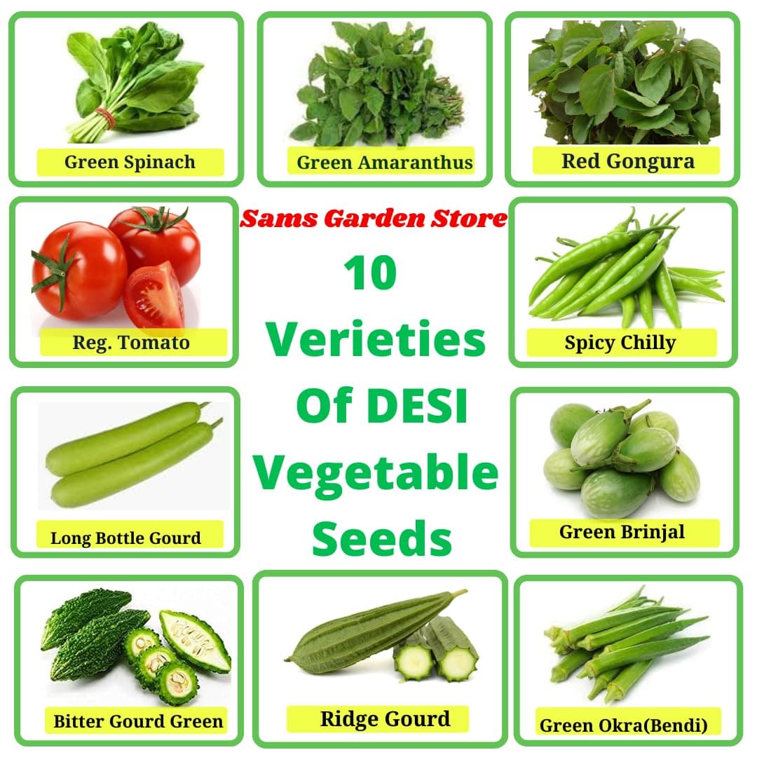 Sams Garden Store Organic Vegetable Seeds For All-Season, Easy To Grow Indian Vegetable Seeds, Home Gardening Seeds For Leafy Vegetables, Pack Of 10 Different Seeds, Green