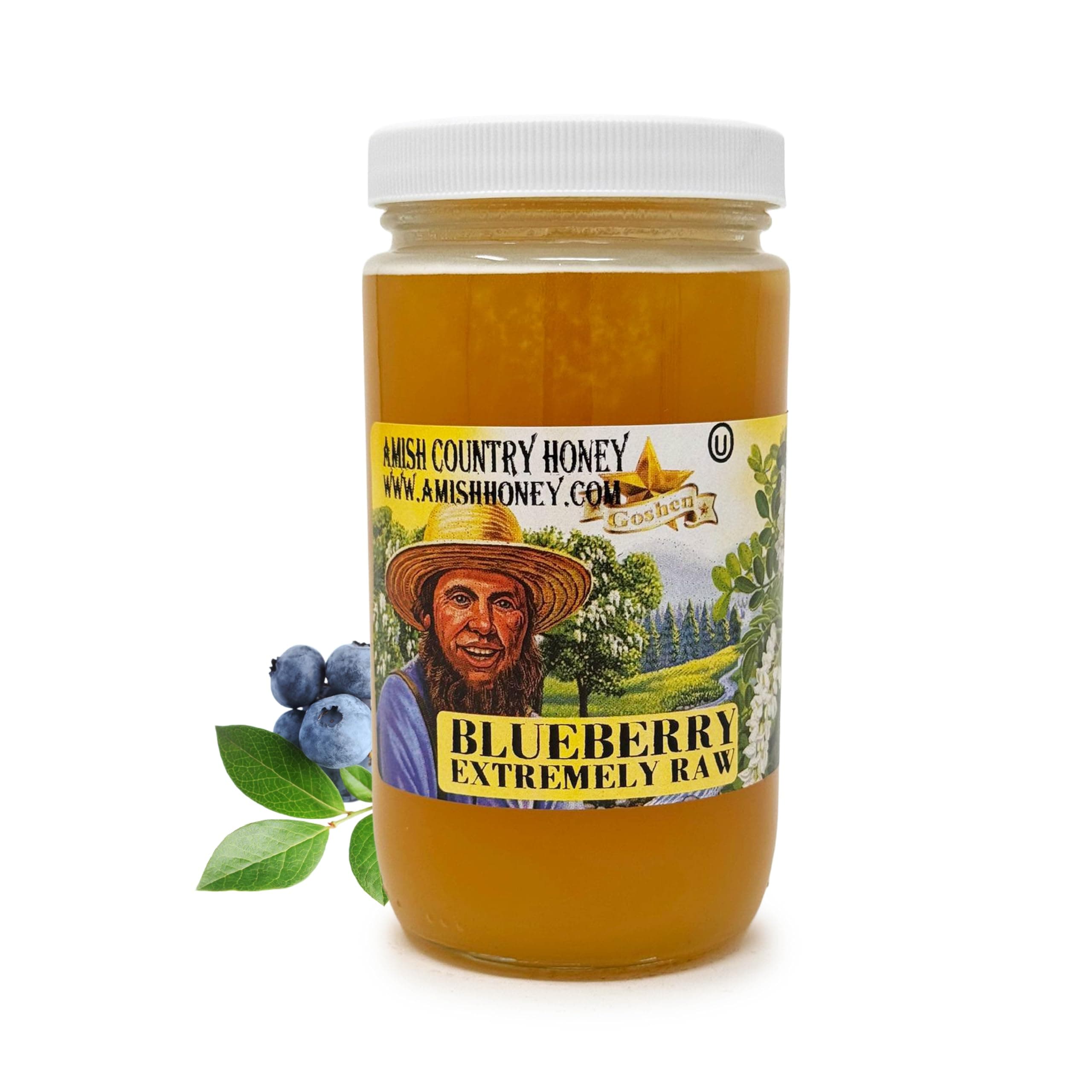 Goshen Amish Country Extremely Raw Blueberry Honey - Unfiltered, Unprocessed, Pure & Natural - Harvested in the USA - Rich Flavor for Tea, Cooking, Wellbeing - Kosher Certified - 16oz Glass Jar