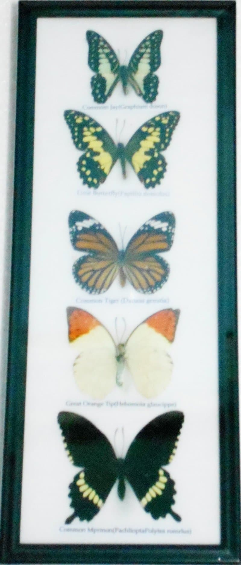 Slushy Cup Frozen Magic Squeeze Cup Quick Frozen Smoothies Cup Ice Cream Slushy Maker Cup