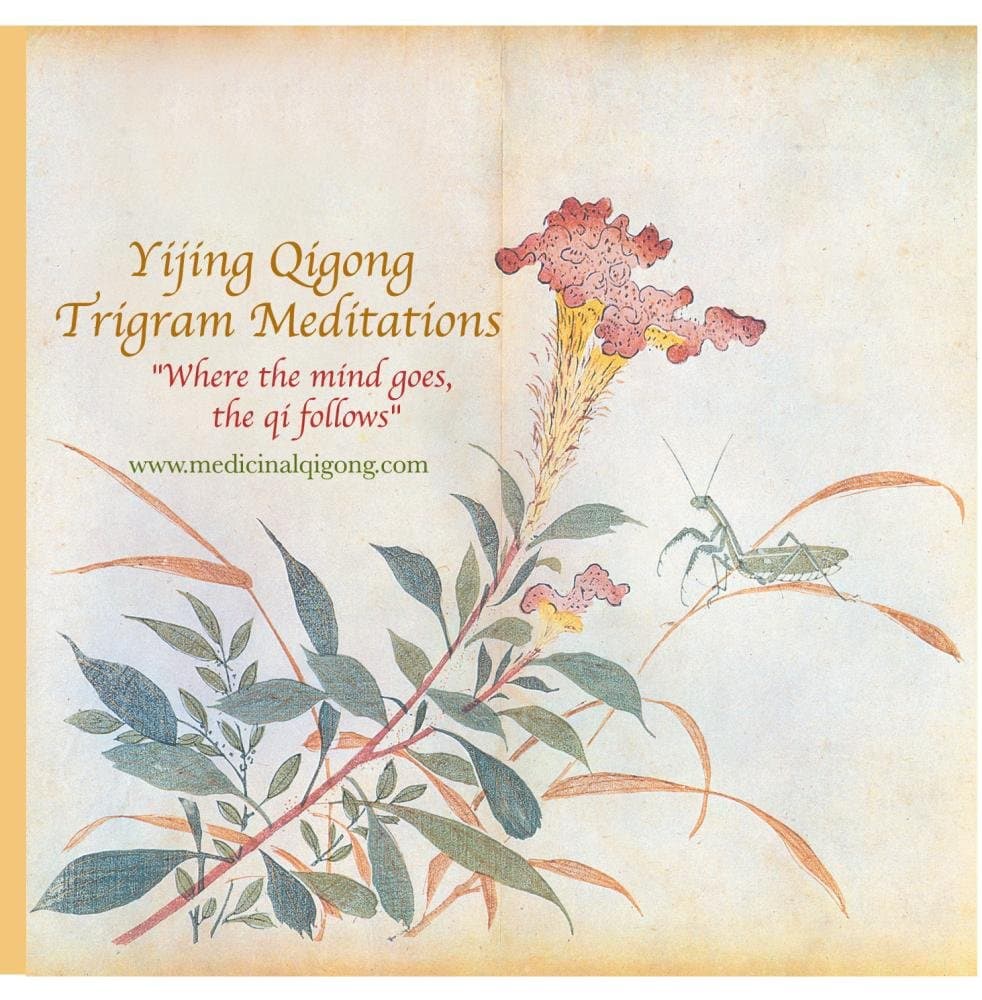 Yijing Qigong Trigram Meditations